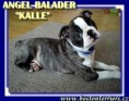 Angell BALADER